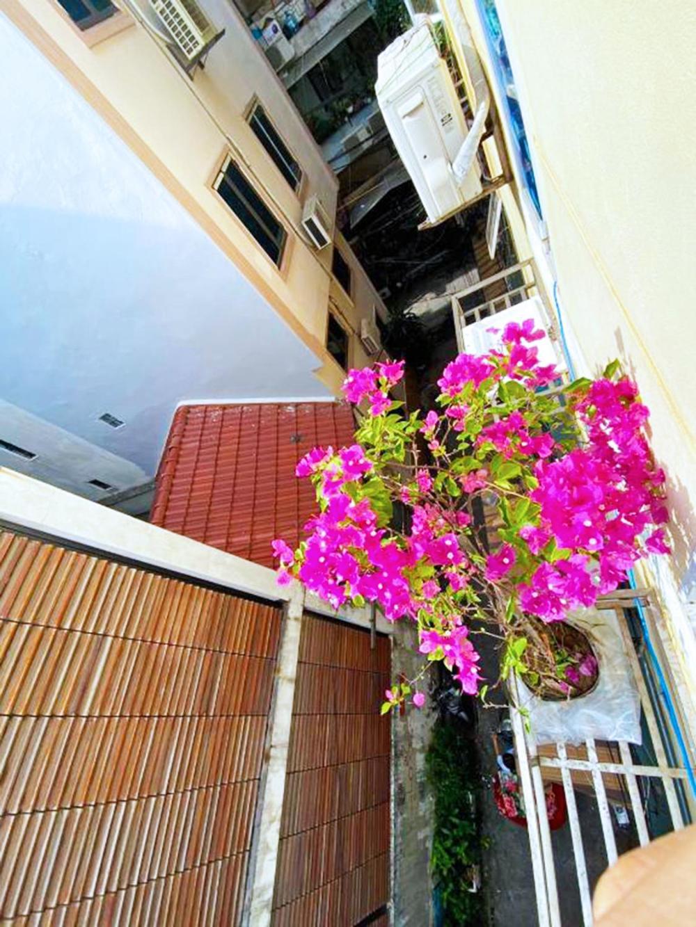 Mini Homestay Hanoi Dış mekan fotoğraf